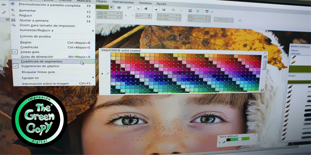 diseño gráfico maquetación web tratado de imágenes caras rostros | Madrid Villanueva de la Cañada | Spain |