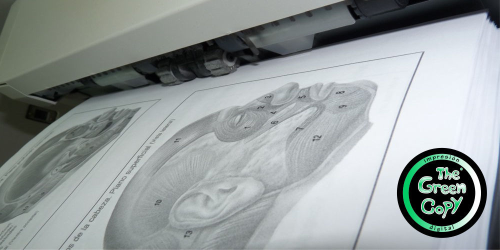 impresión de apuntes y manuales | Tienda Local para imprimir manuales y apuntes | Madrid Villanueva de la Cañada | Tlf. 918157760 |