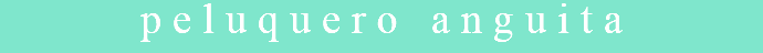 peluquero anguita