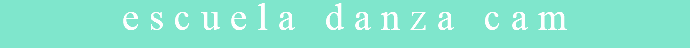 escuela danza cam