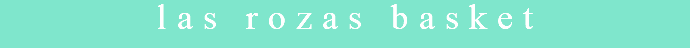 las rozas basket