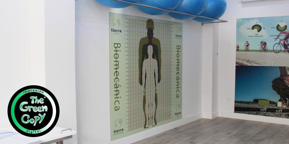 Rotulación de Locales Comerciales, Tiendas, Oficinas, Escaparates, Coches, Vehículos, Furgonetas, Paredes Decorativas, Chapas, Salas en MADRID